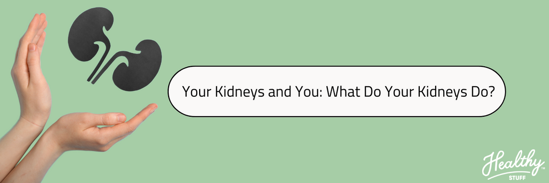 Your Kidneys and You: What Do Your Kidneys Do?